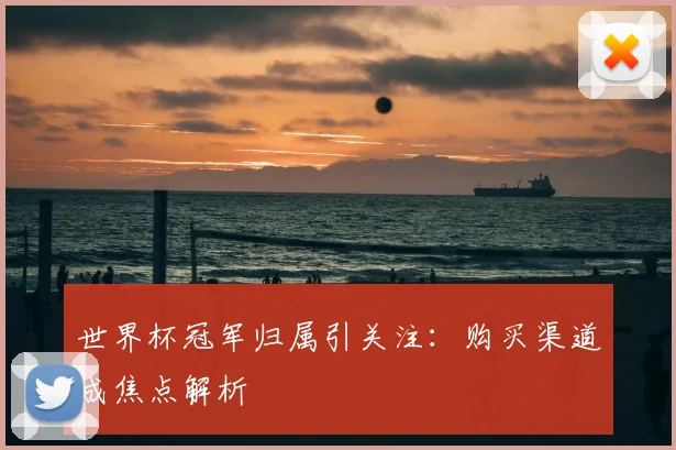 世界杯冠军归属引关注：购买渠道成焦点解析