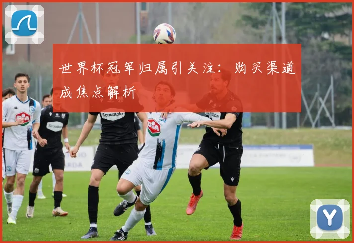 世界杯冠军归属引关注：购买渠道成焦点解析